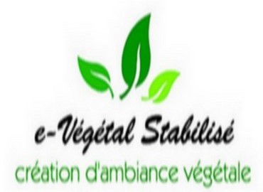 e-vegetalstabilise